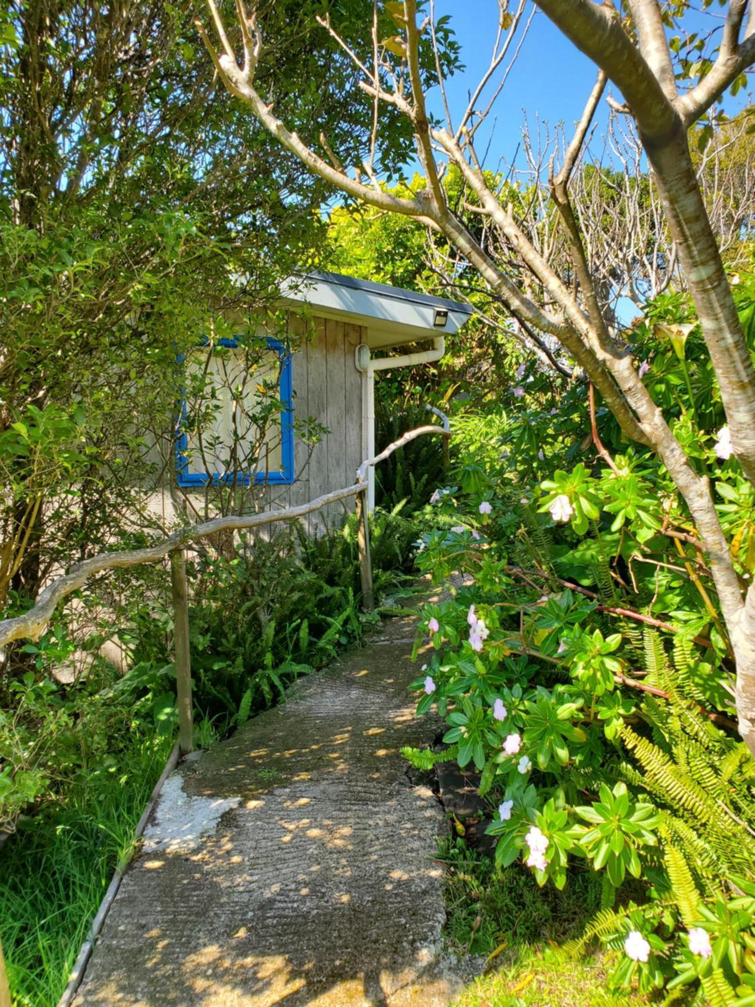 Rawhiti Cottage At Kaeppeli'S Kuaotunu Екстер'єр фото